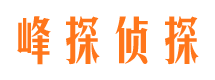 惠农市侦探调查公司